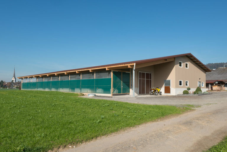 Neubau Hühnerstall